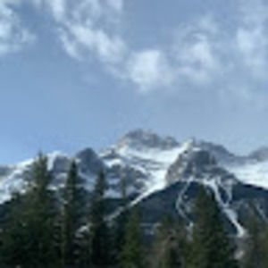 Meet your Posher, Logan